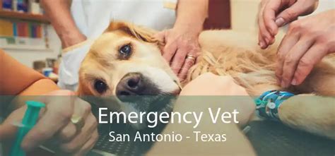 emergency vet|24 Hour Emergency Vet San Antonio .